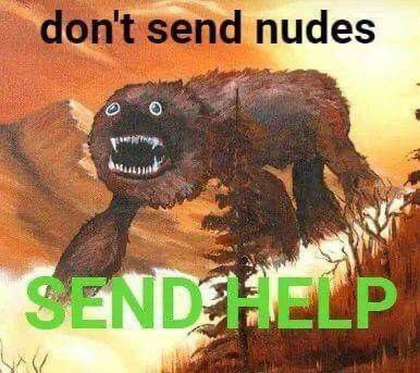 Dive Into the Latest Memes: Volume 441