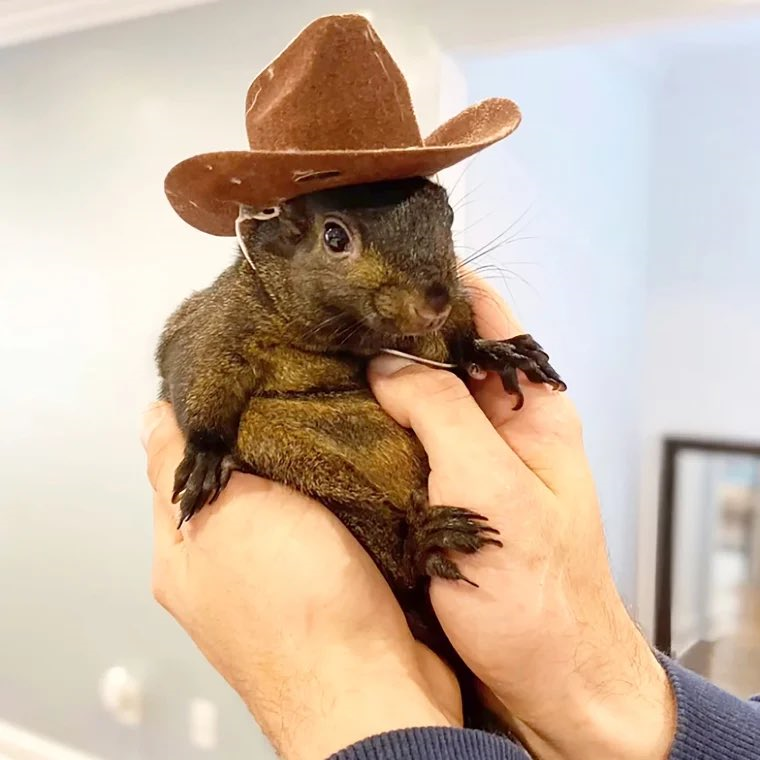 Farewell, Peanut