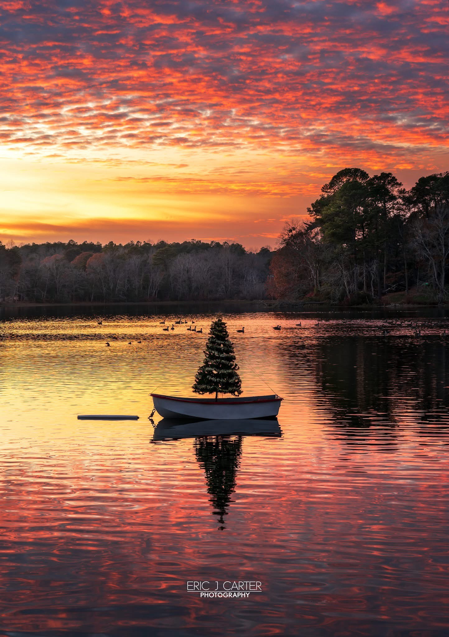 The magic of Christmas is here