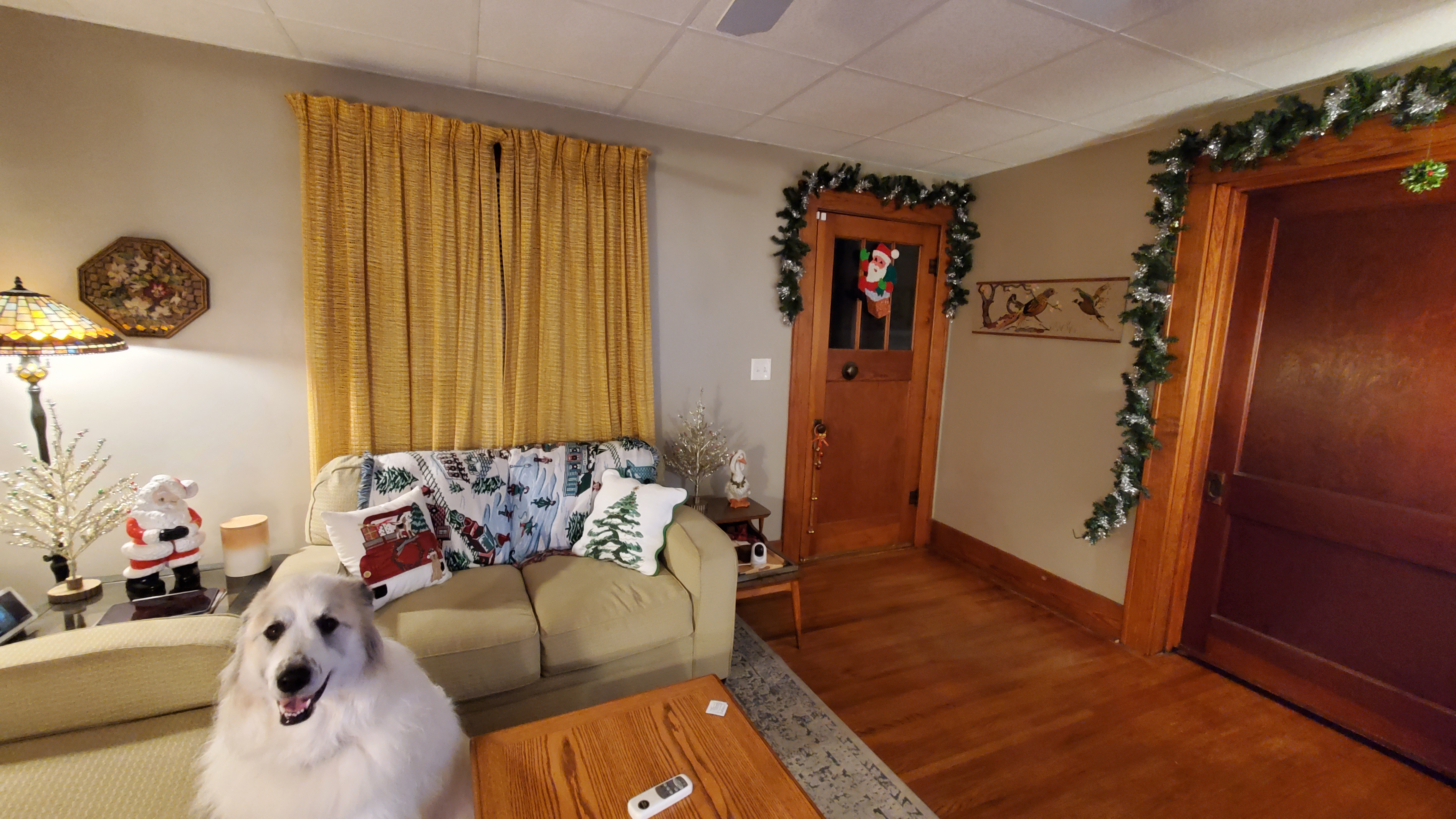 Embracing 'Tacky' Christmas Decorations