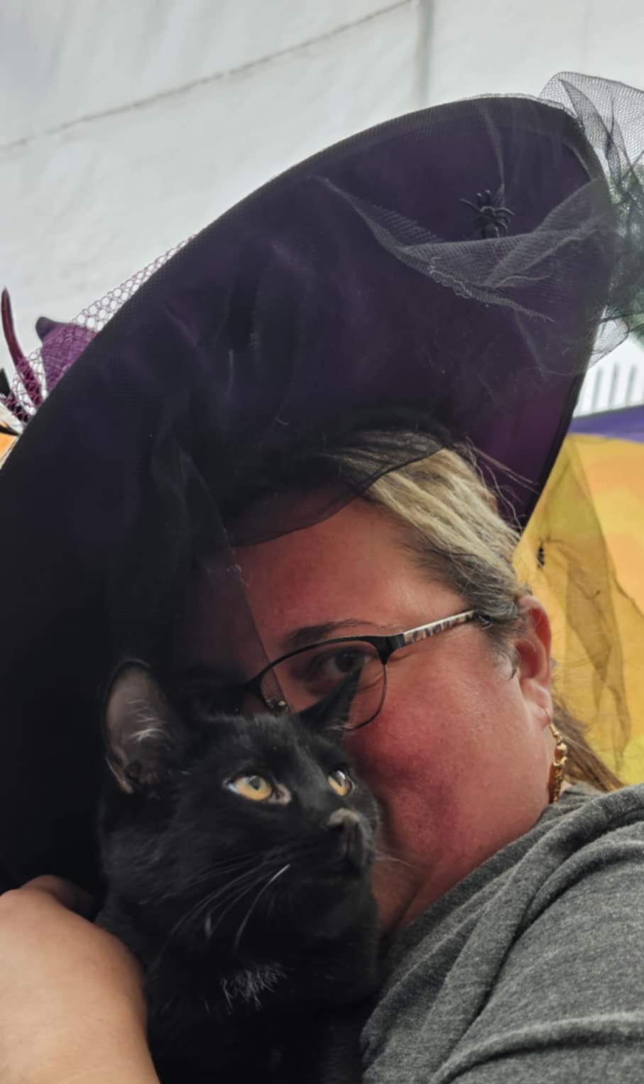 Purrfection Achieved