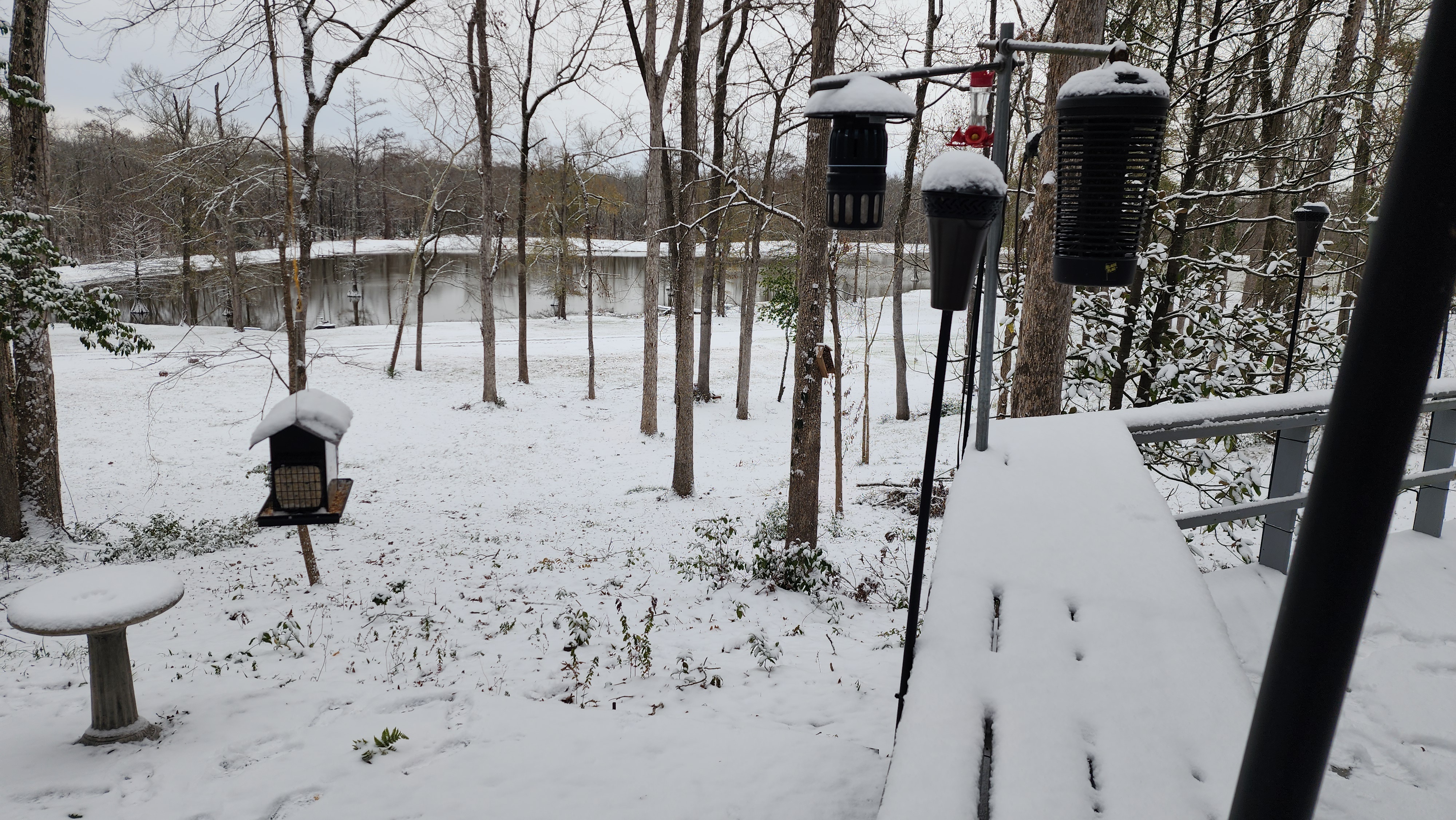 A Rare Sight: Snow in Louisiana