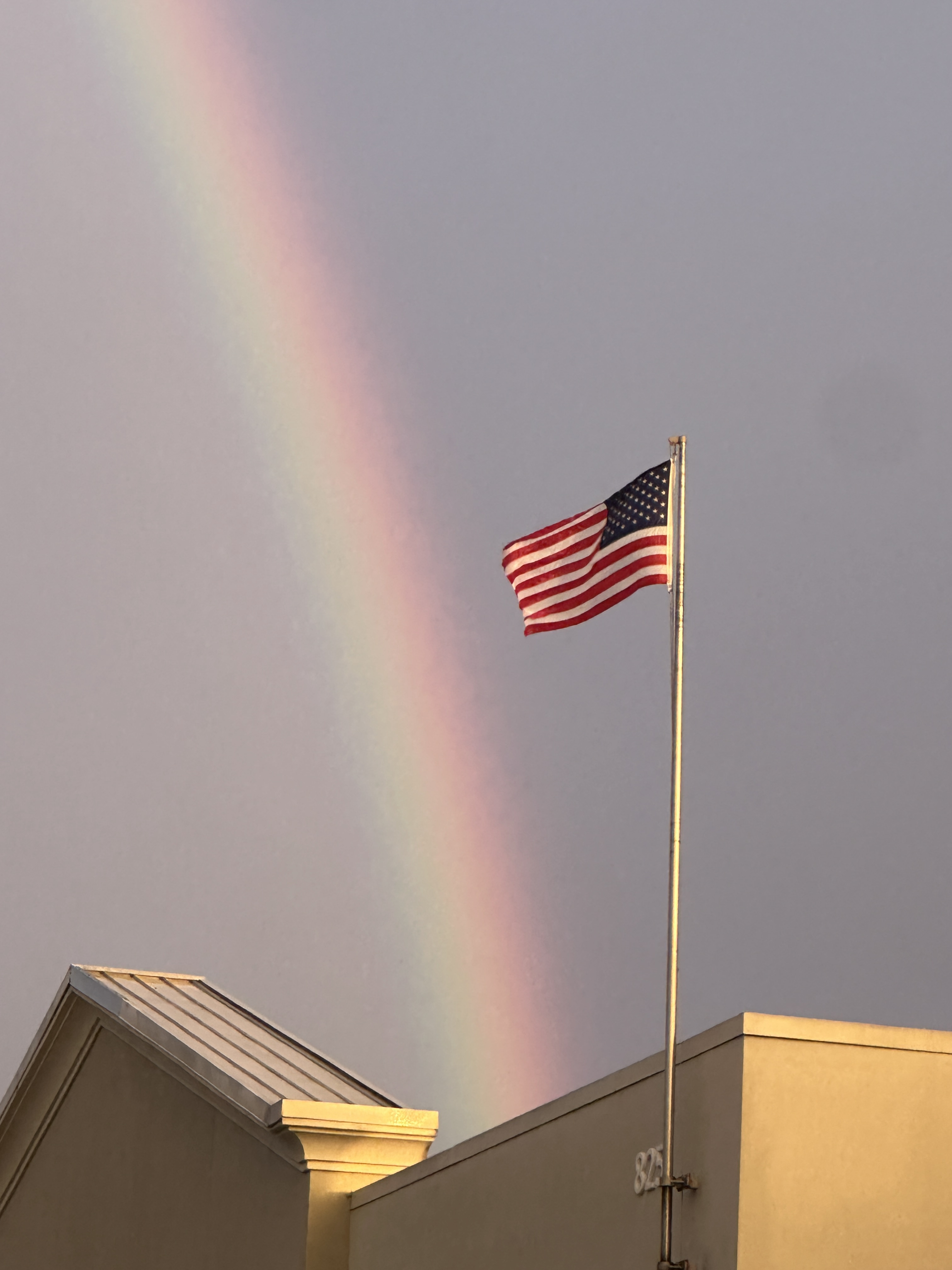 Post-Rain Reflections After a Long Election Day...