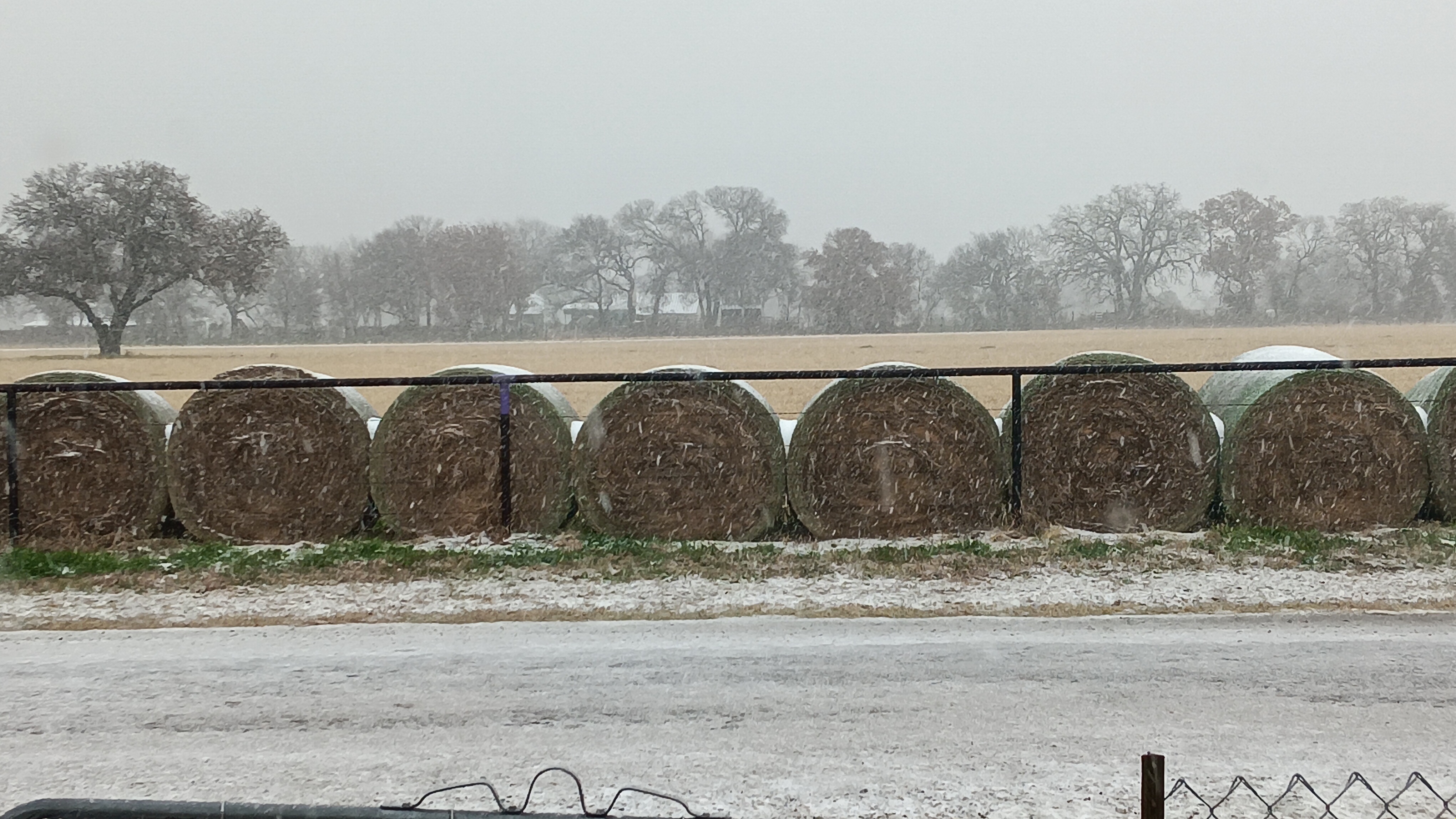 North Texas Gets a Winter Wonderland: Snow Day Fun!