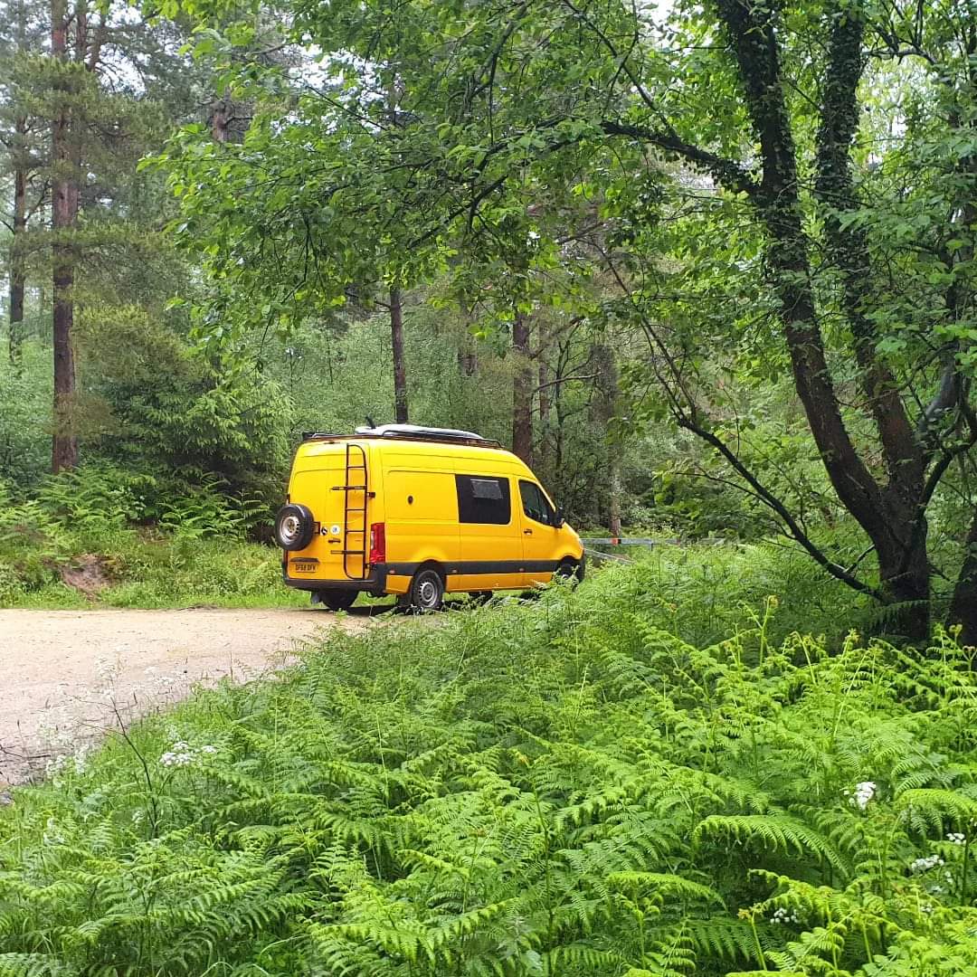 Exploring Summer Adventures: A Journey Through Yorkshire, Slovakia, Italy, and France