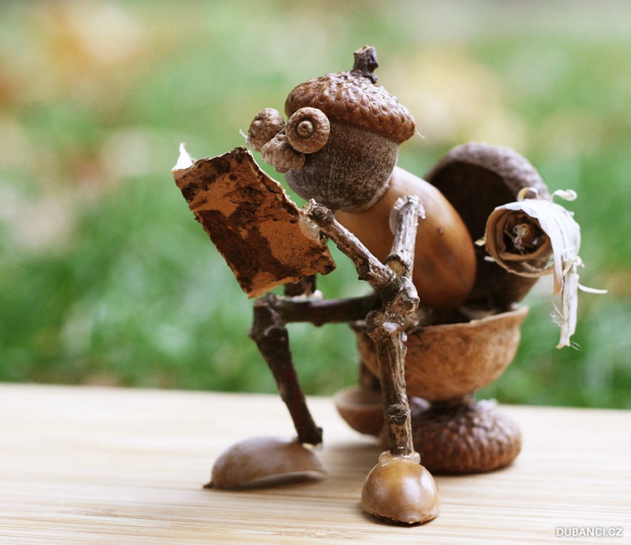 The Endless Acorn Repetition: A Nutty Adventure
