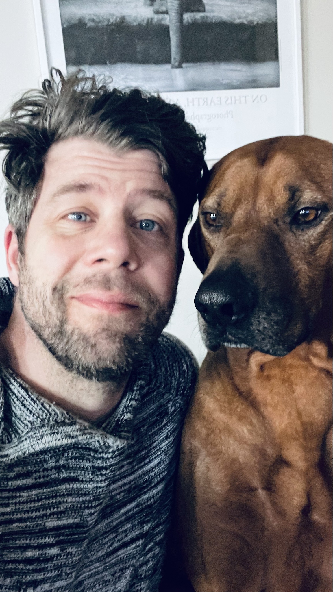 Let’s Include Some Dog Tax in the Fun! Hello There!