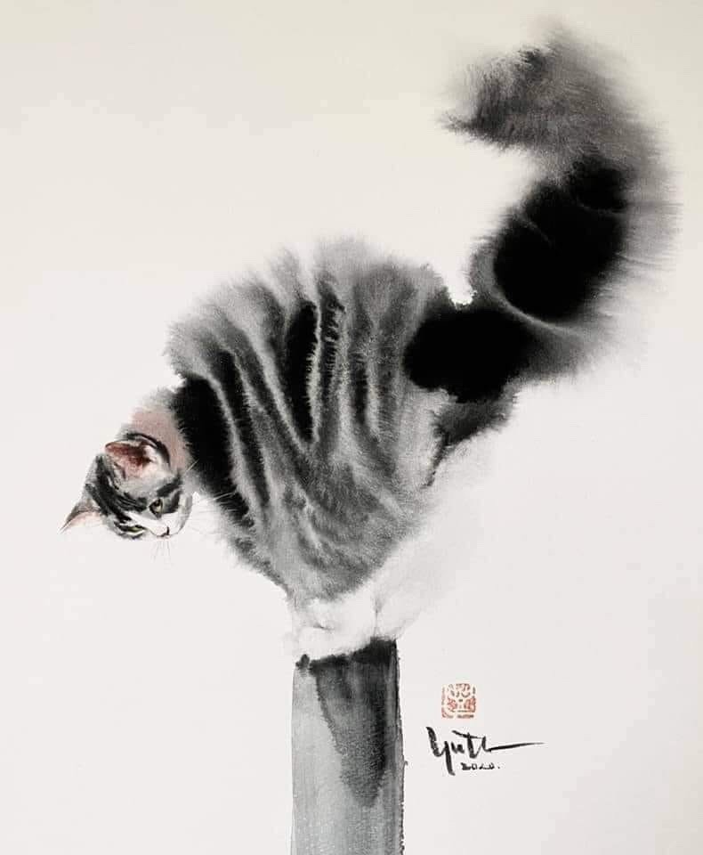 A delightful cat post to brighten your day.