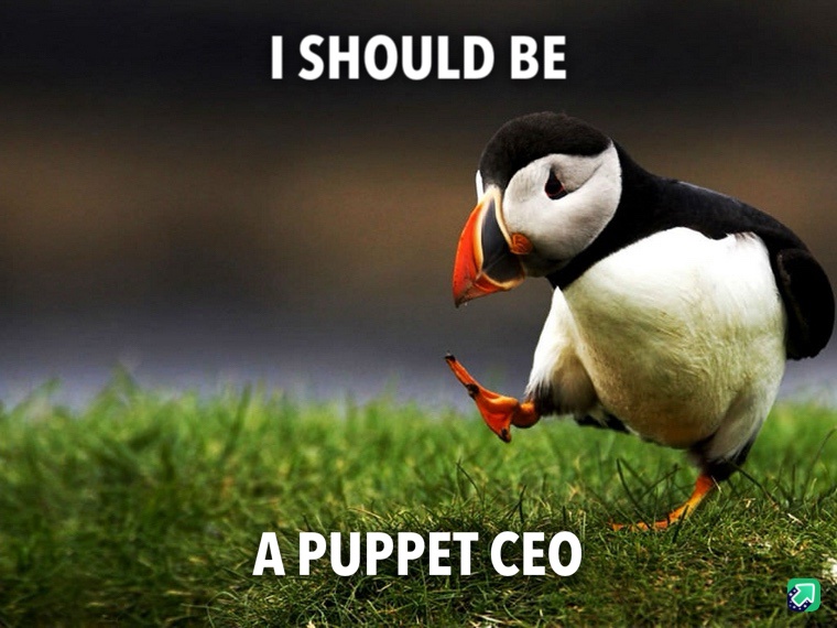 Definitely Not Your Average Healthcare Company