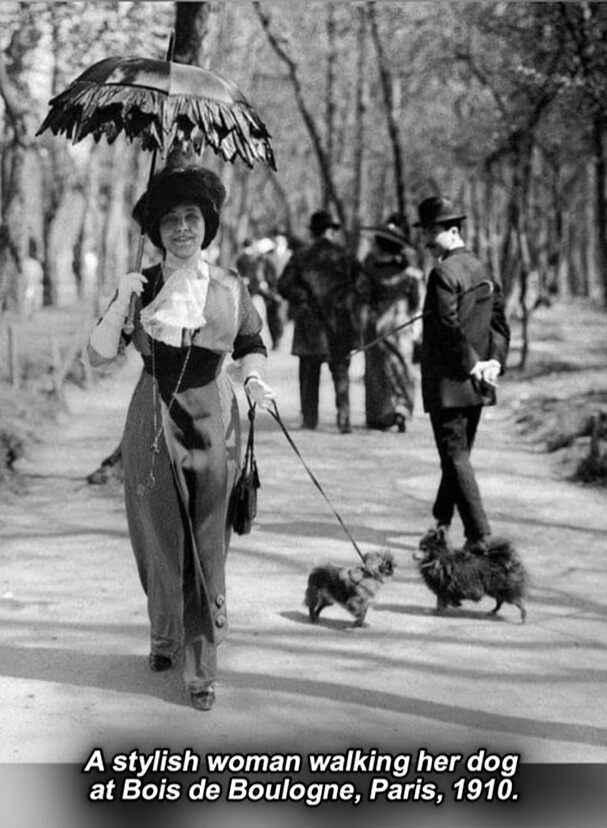 A Glimpse into 1910: A Fashionable Lady Strolling with Her Dog