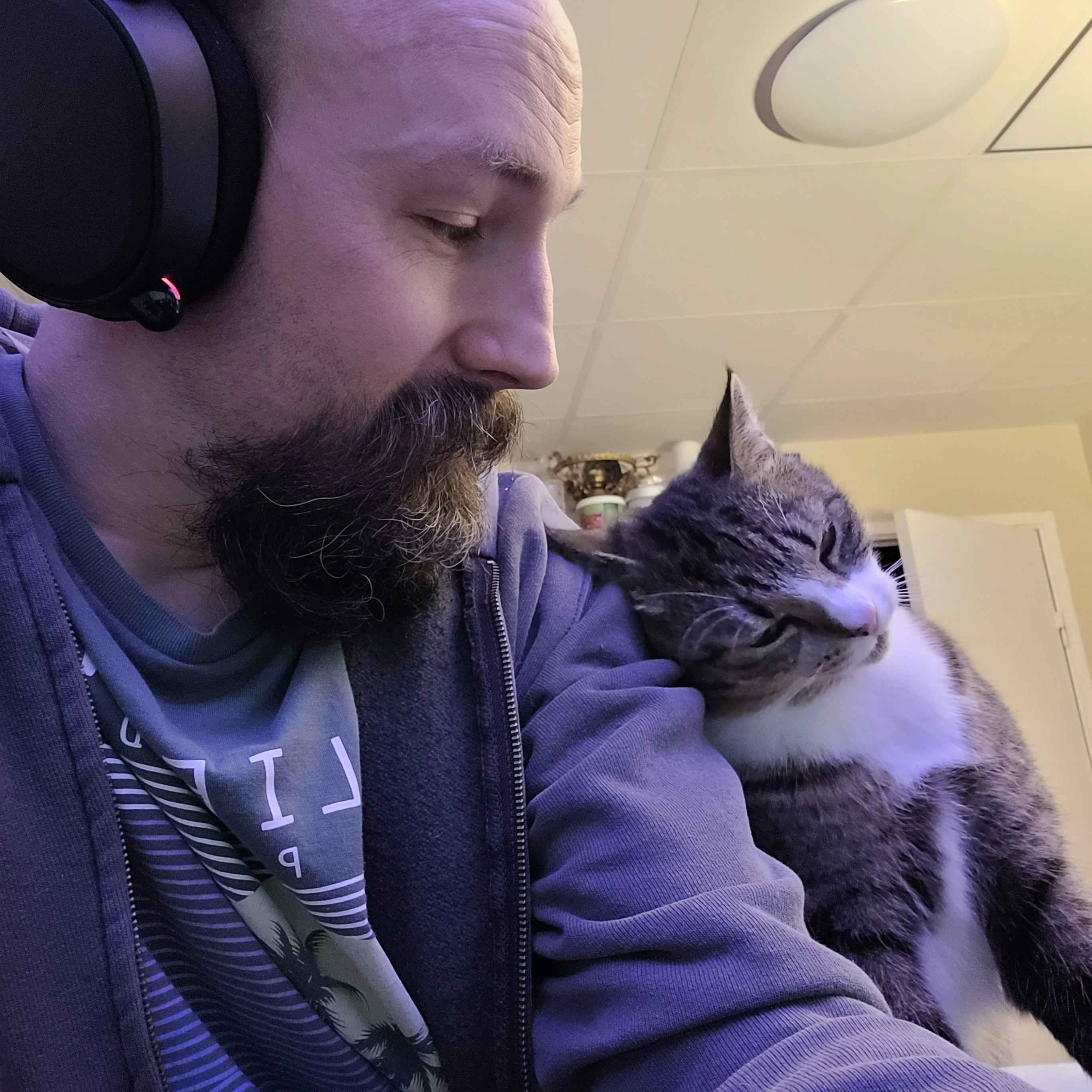 The Heroic Arrival of the Support Assistant