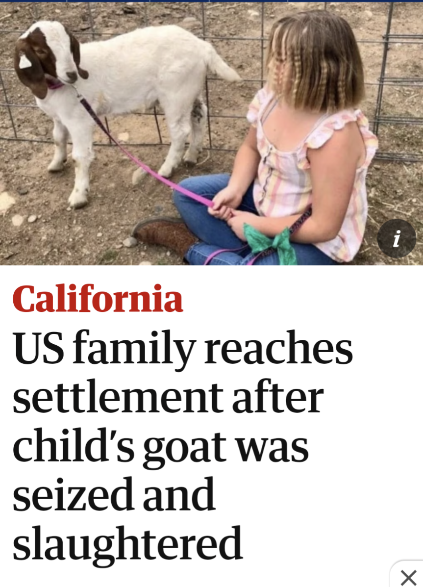Justice for Cedar - we need to stand up!