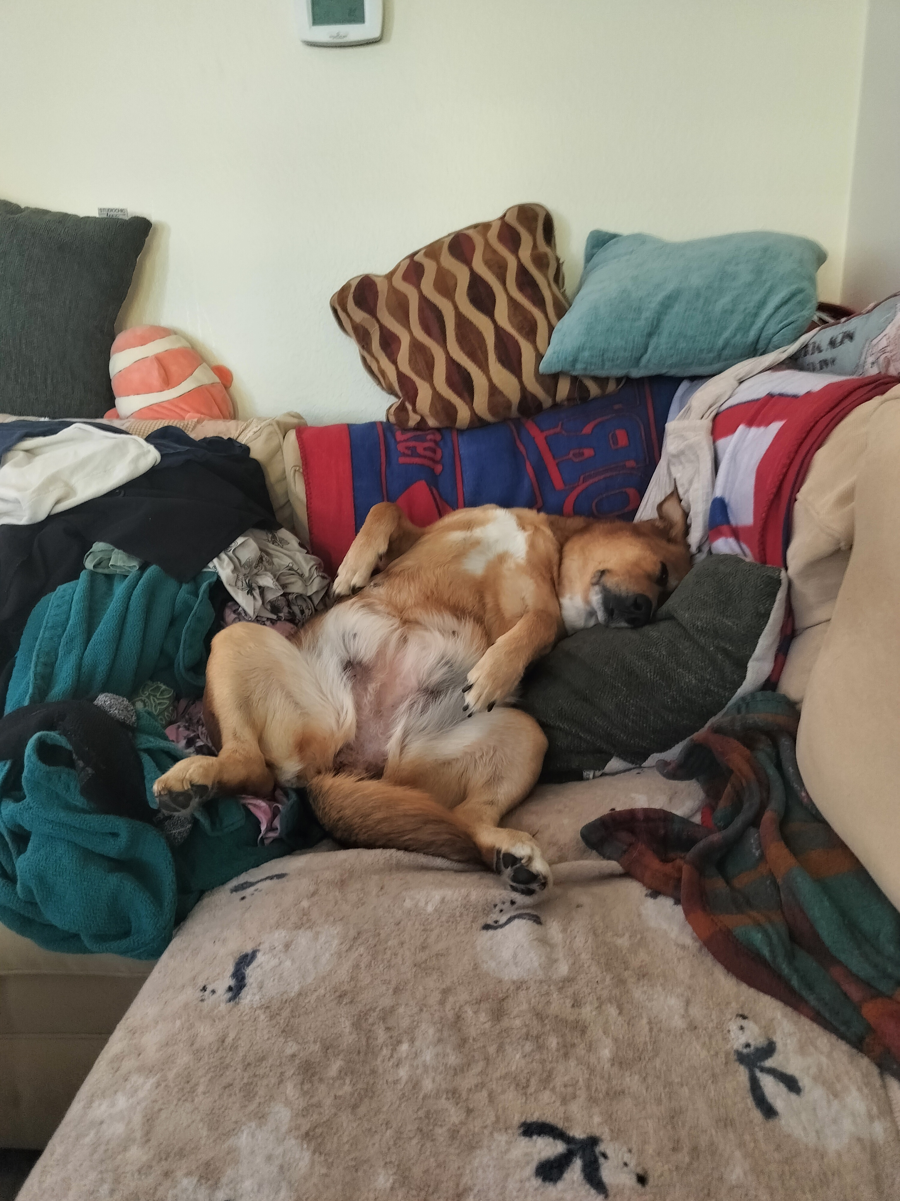 This Lady Really Has a Tough Life