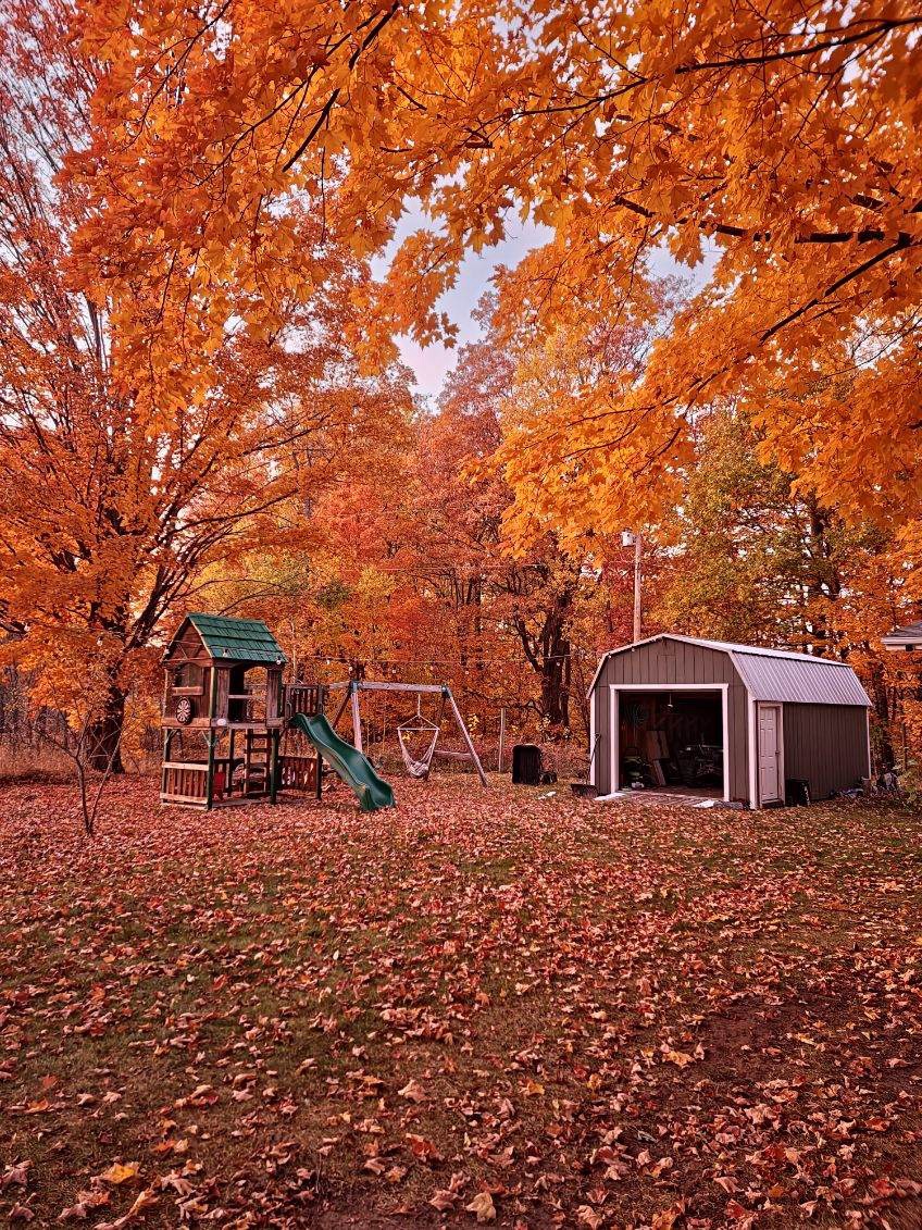 Nature's Palette: Stunning Fall Colors in Michigan
