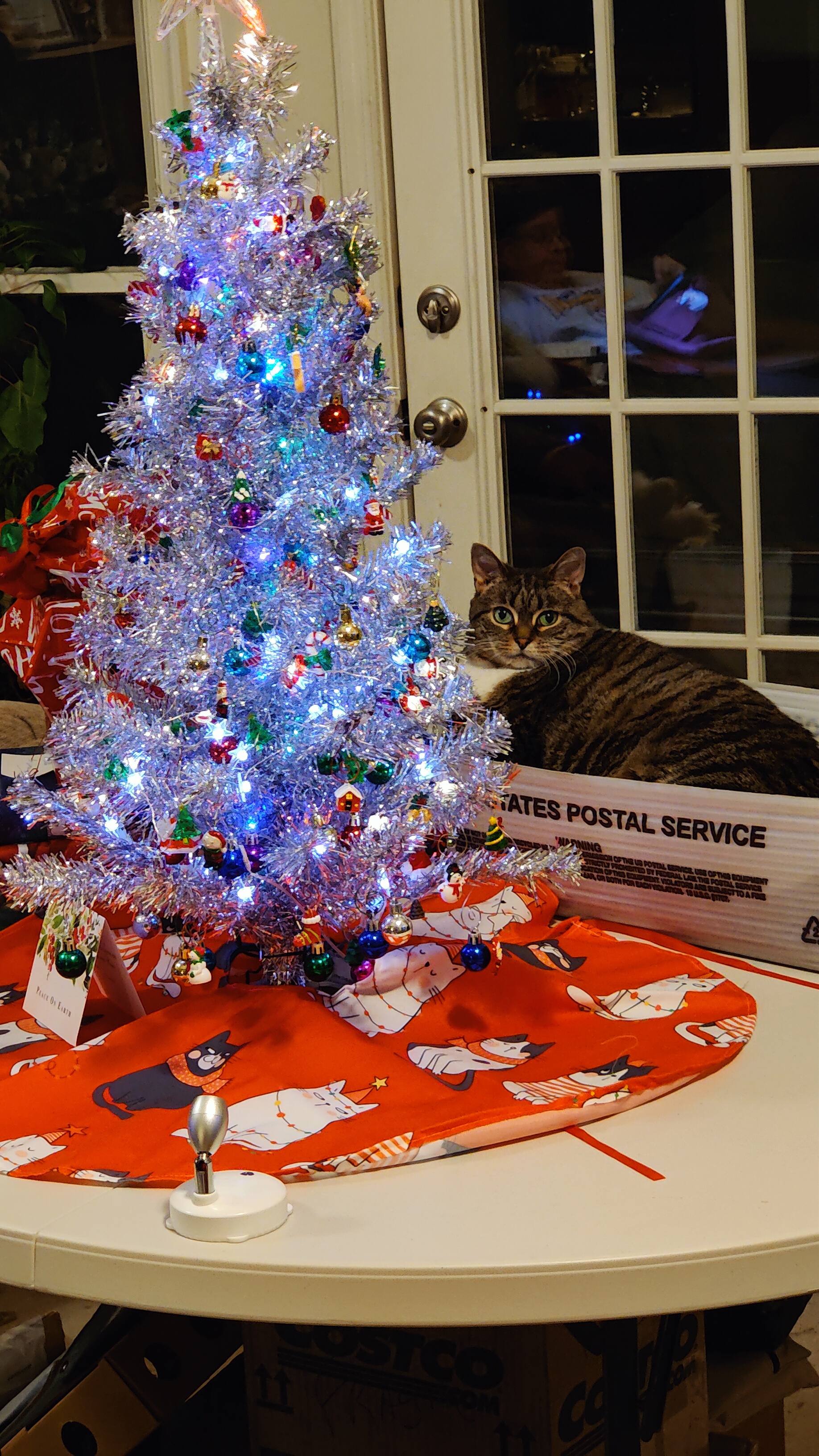 Miss Betty and Her Adorable Christmas Tree
