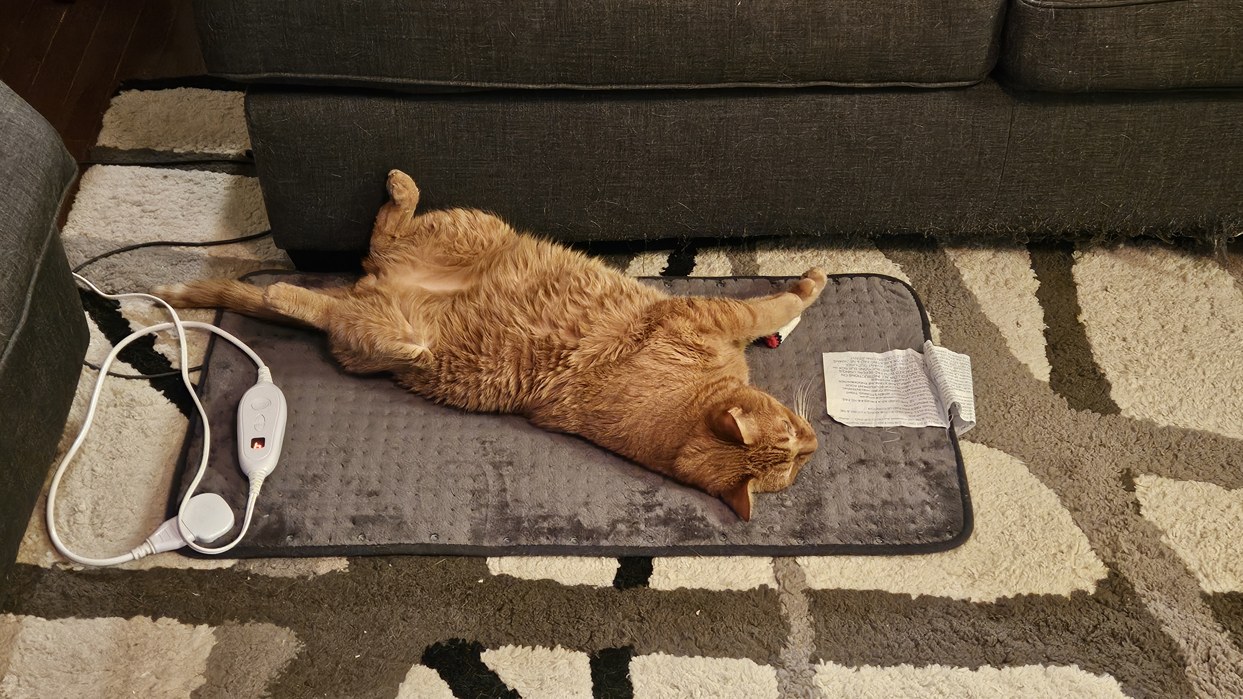 Keeping Your Furball Safe from Hot PC Winds: The Ultimate Hotpad Guide
