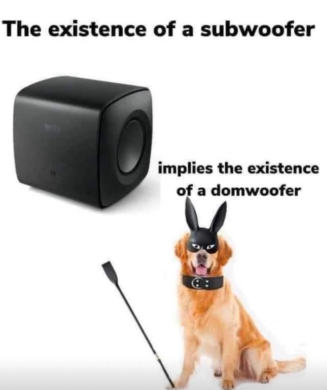 The Secret Code Word is Kibble...