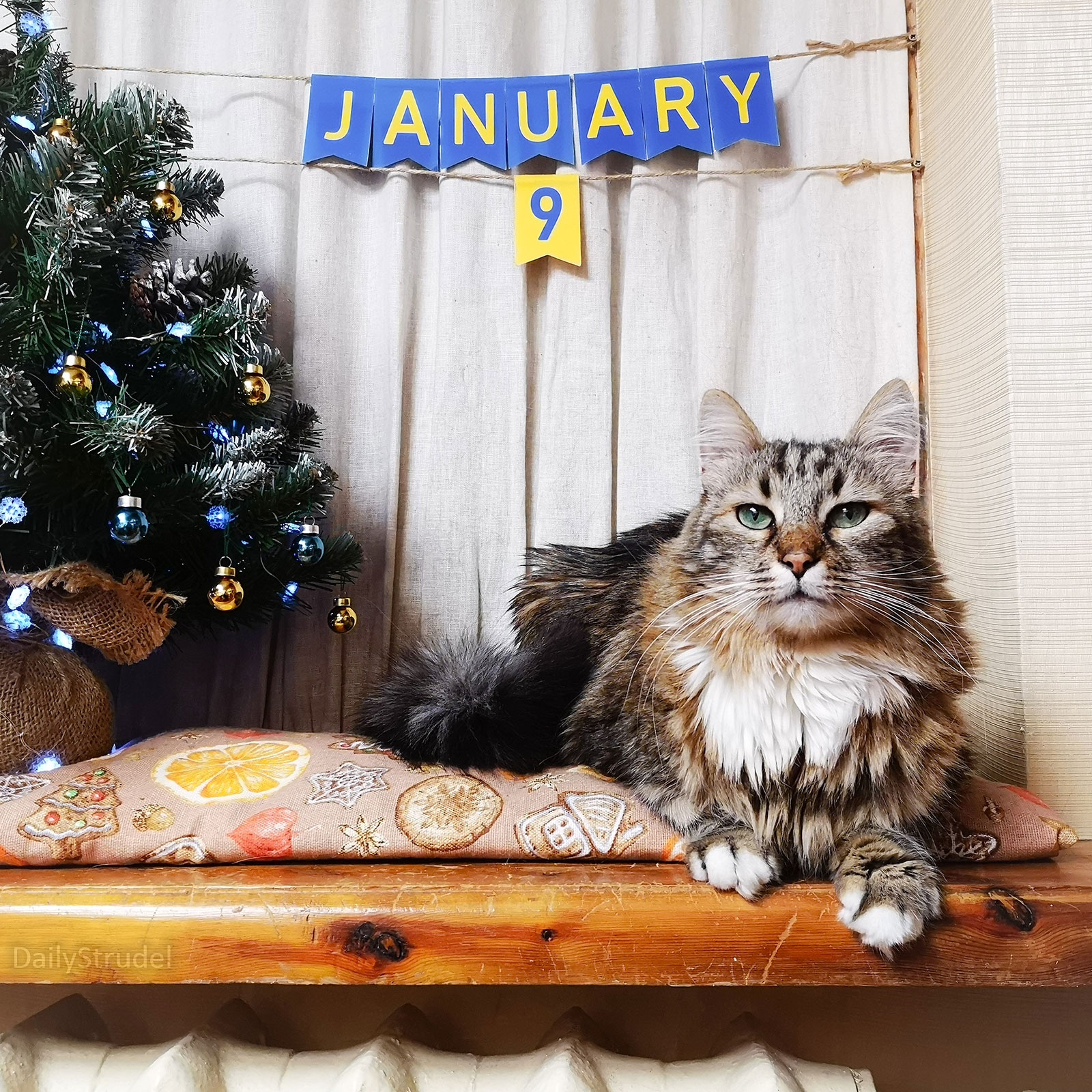 The Significance of January 9