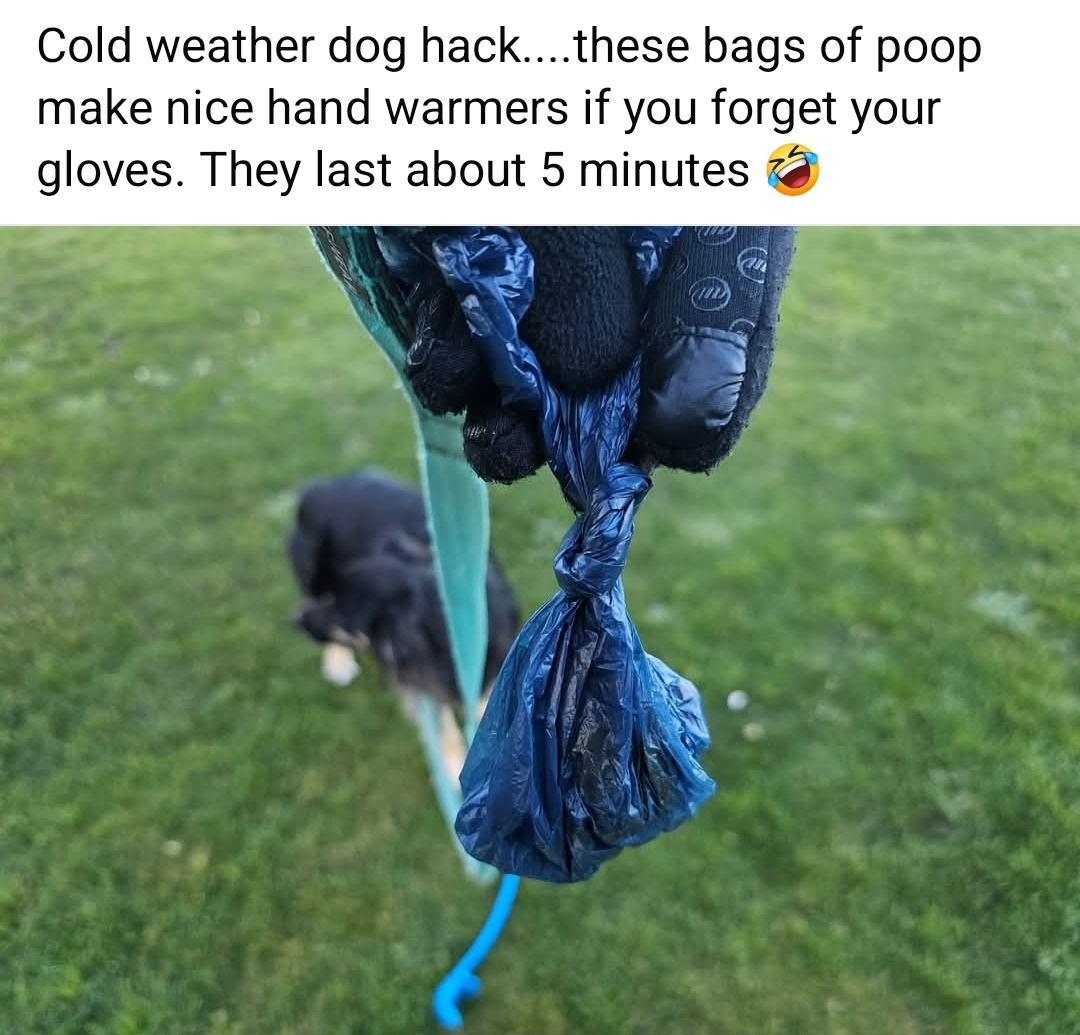 Essential Dog Hacks for Cold Weather Adventures