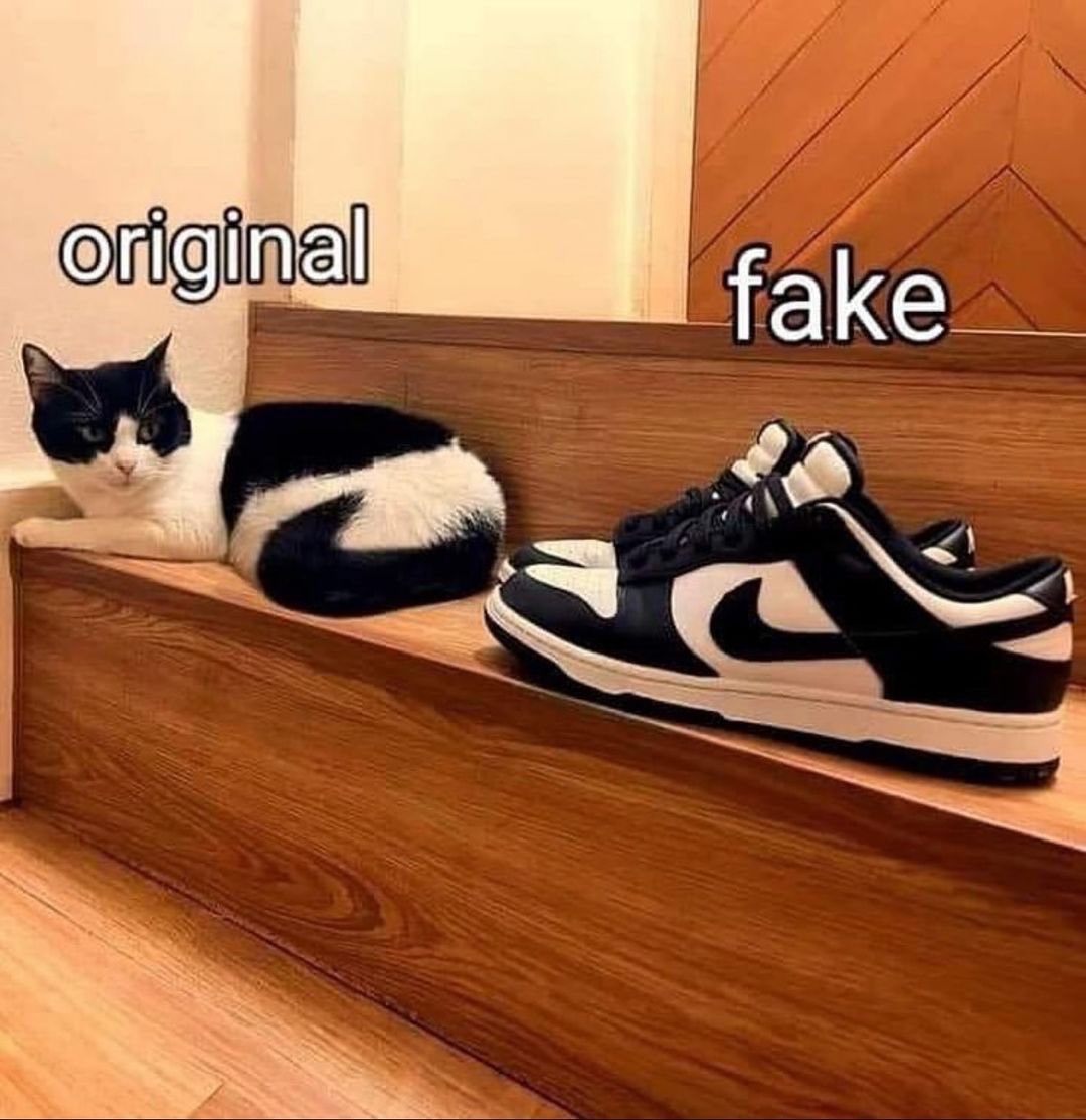 This Looks Totally Legit!
