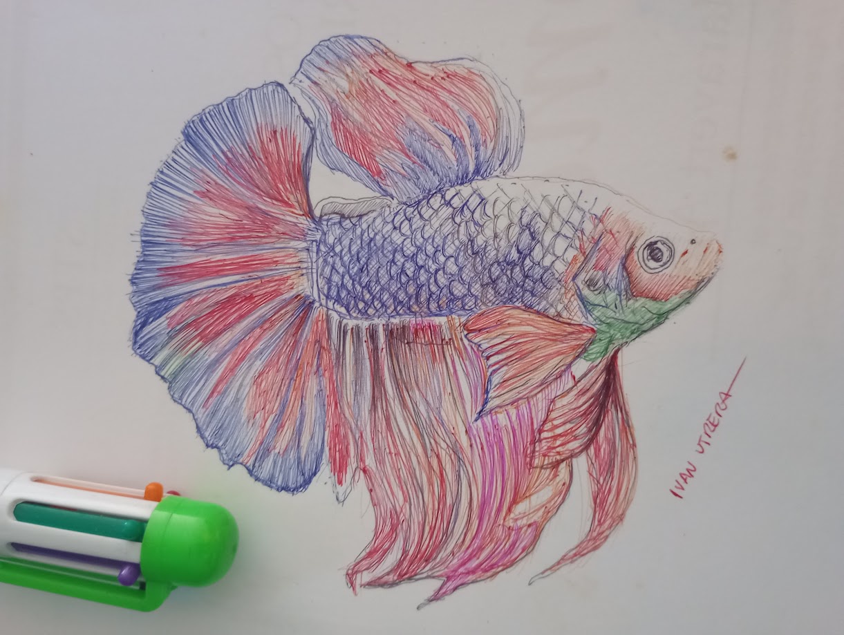Just a Fish: A Simple Yet Captivating Moment