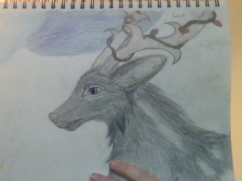 Meet Lost, the Enigmatic Wolf with Antlers