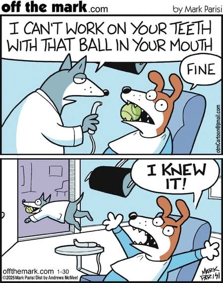 I Can Relate: Dentists Aren't My Favorite Either