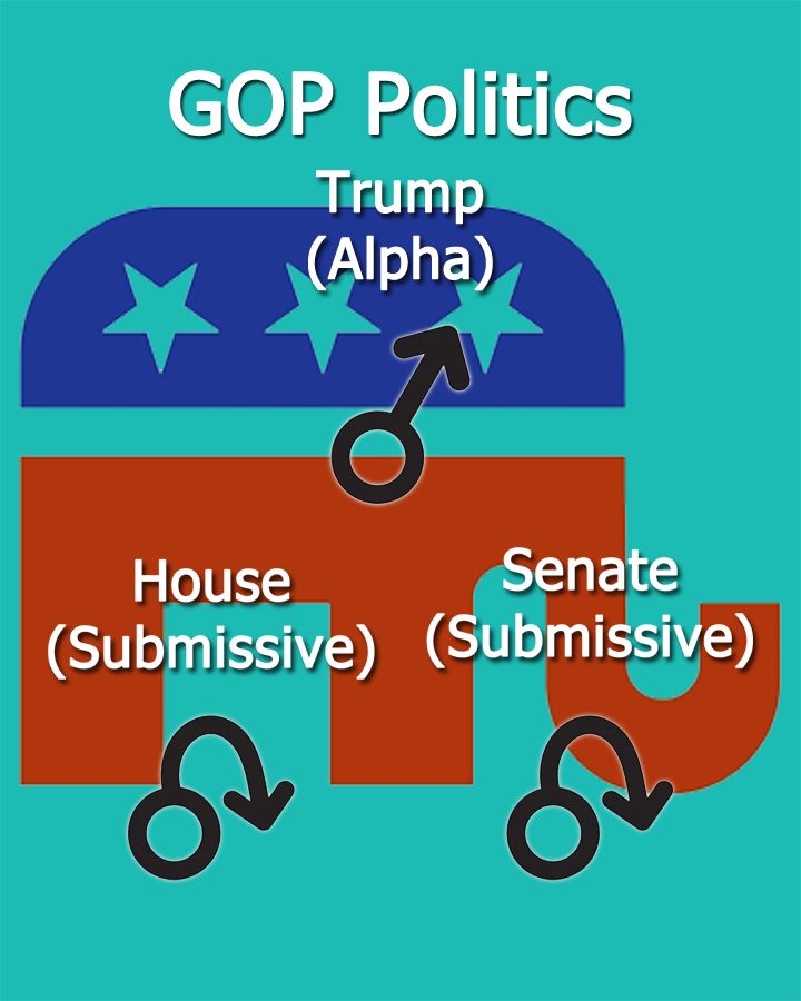 The Intriguing World of Penis Politics