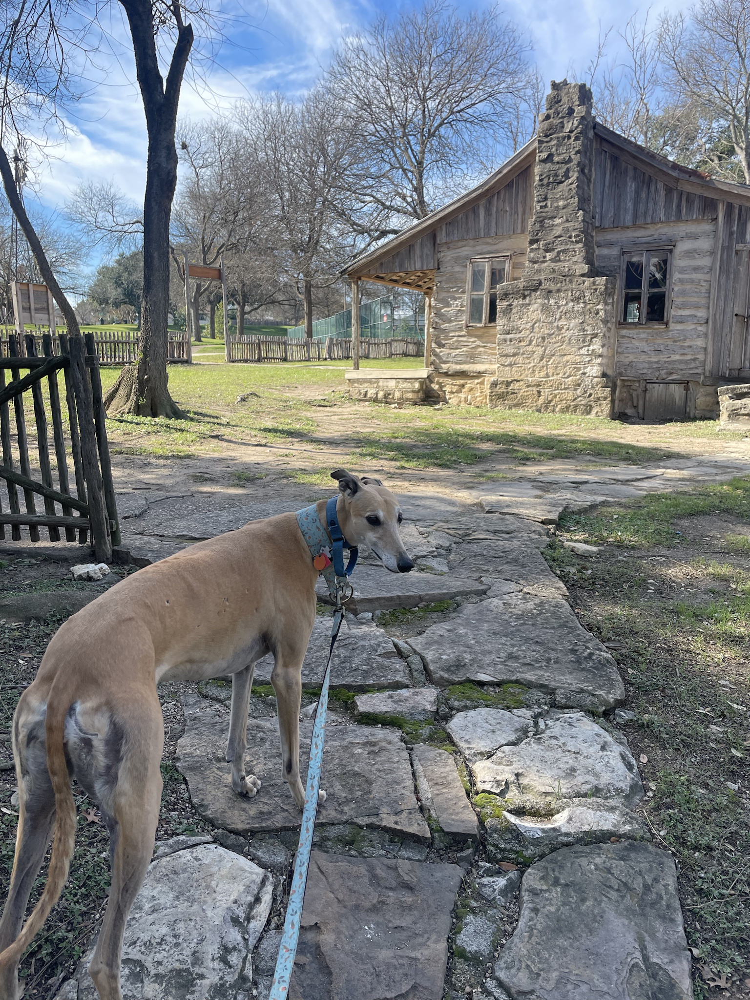 The Intermission Pup: A Breaktime Buddy