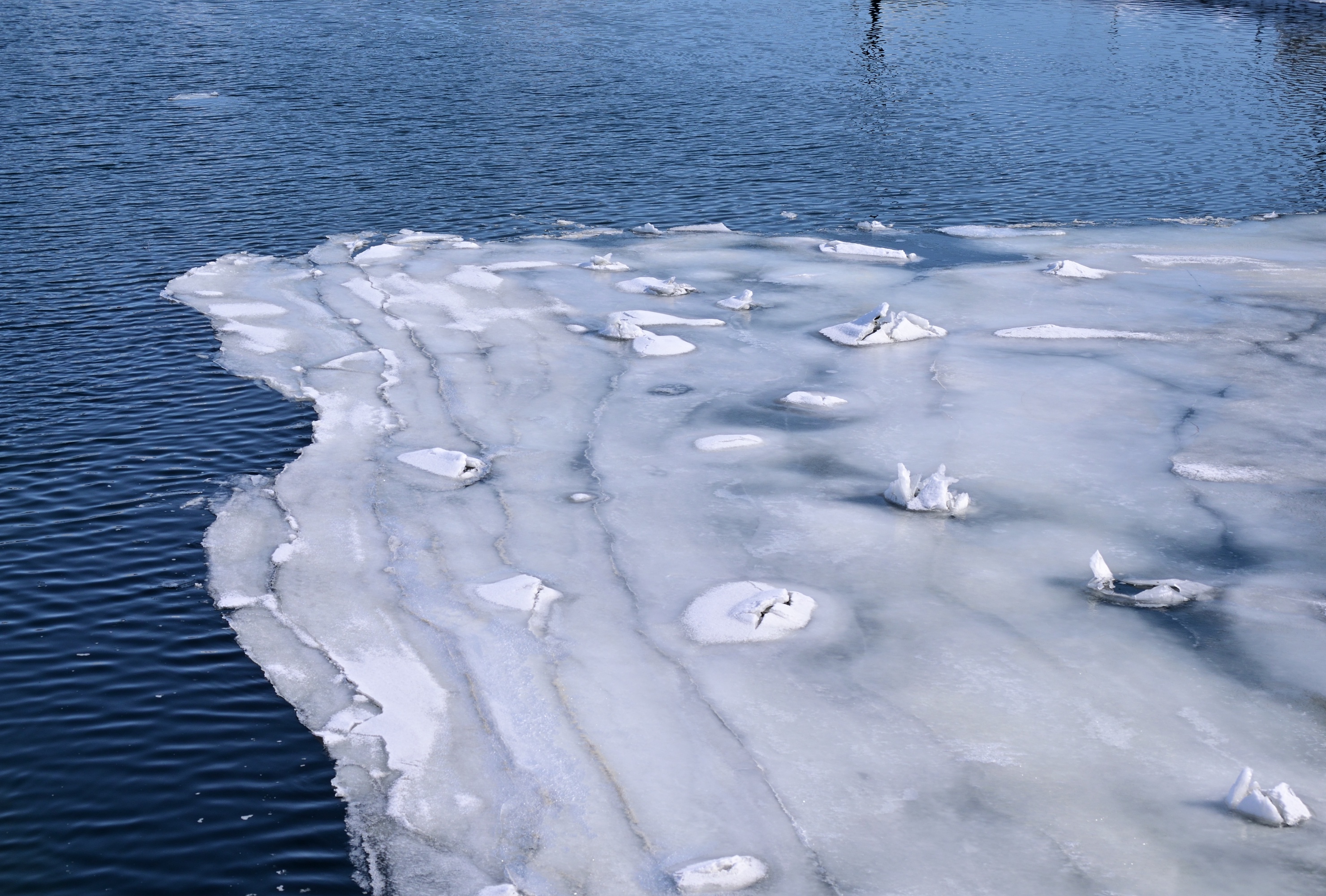 Nature's Art: Ice Floating Gracefully on the River