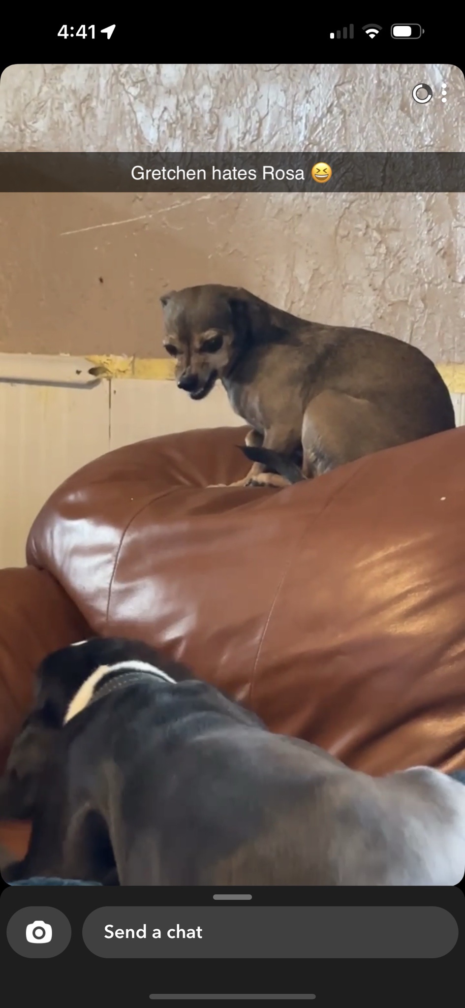 A Sisterly Surprise: She's Not Thrilled About Her New Sibling