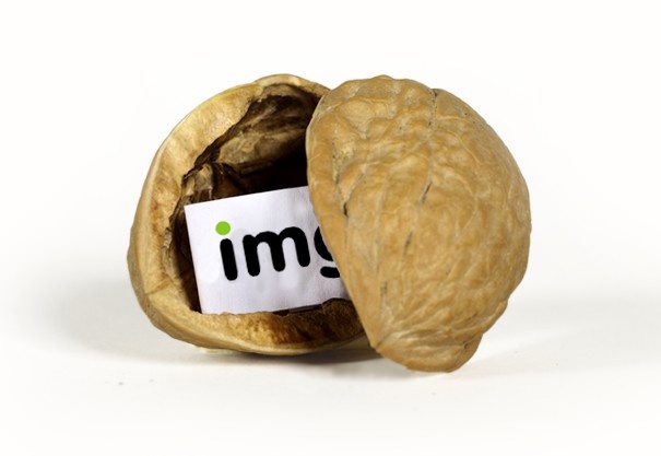 Acorns, Pinecones, and Everything Imgur Represents