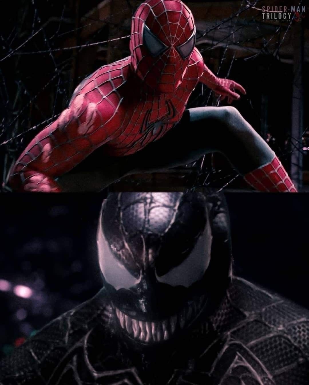 Epic Showdown: Venom Takes on Spider-Man!