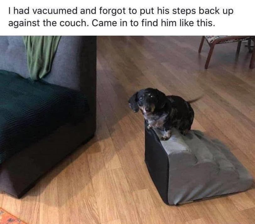 The Trauma of Being Bamboozled