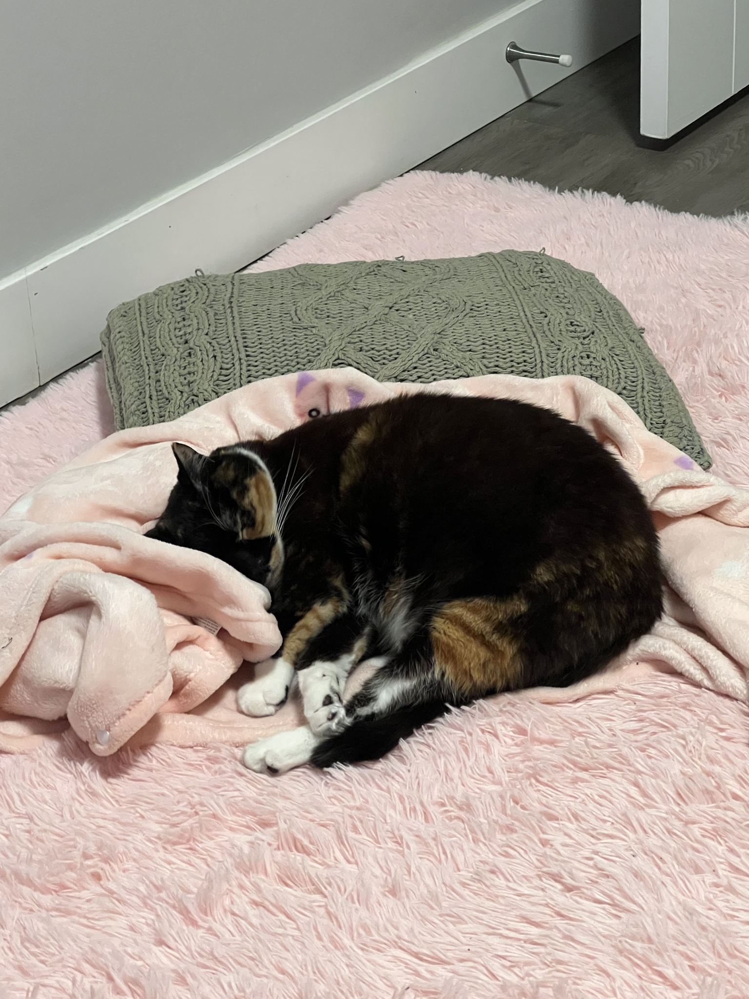 Chillin' with Sleepy Mow: Episode 6