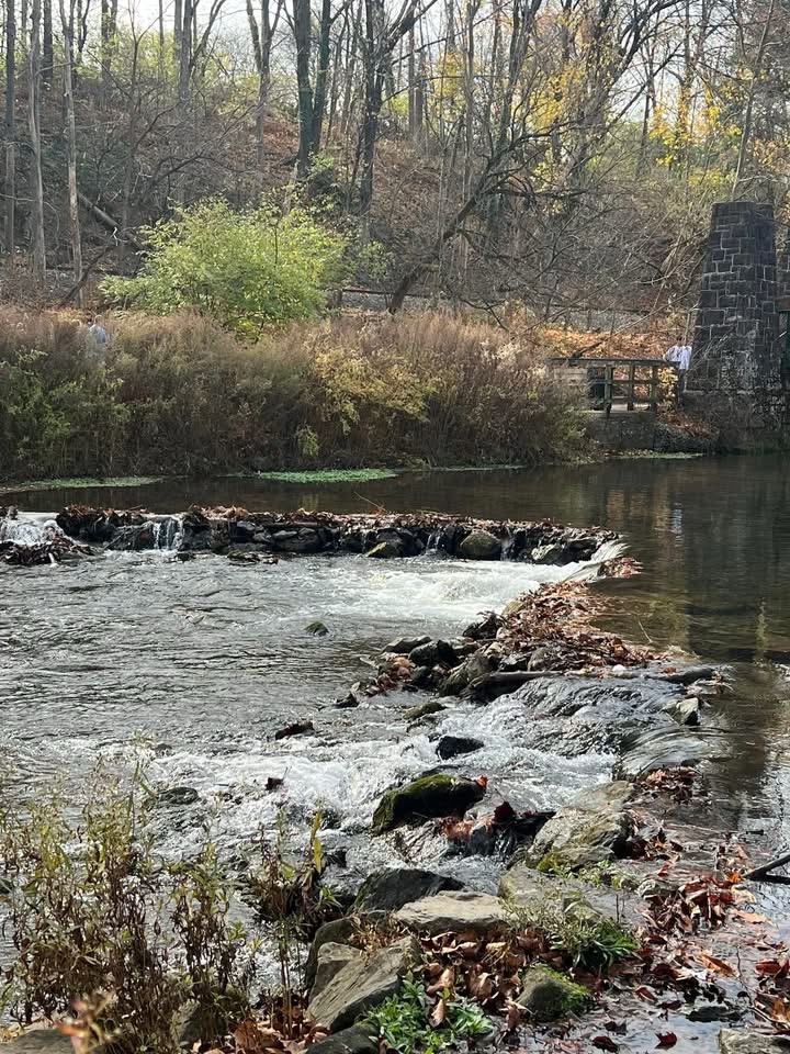 A Serene Day by the Creek