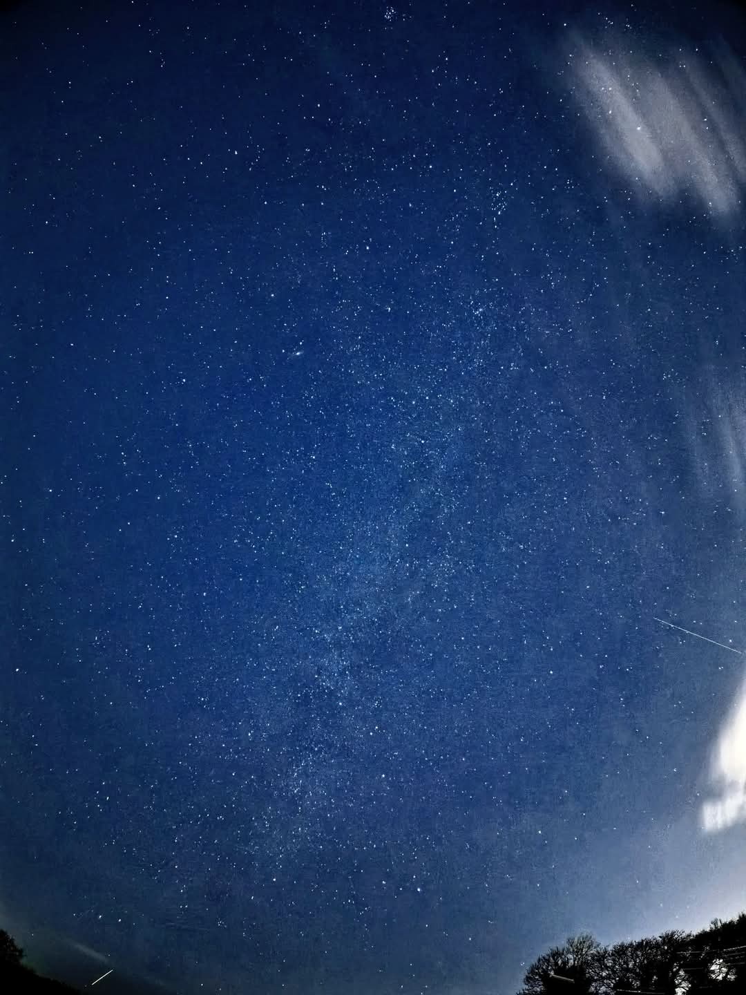 A Night Under the Stars: Stargazing and Astrophotography Adventures