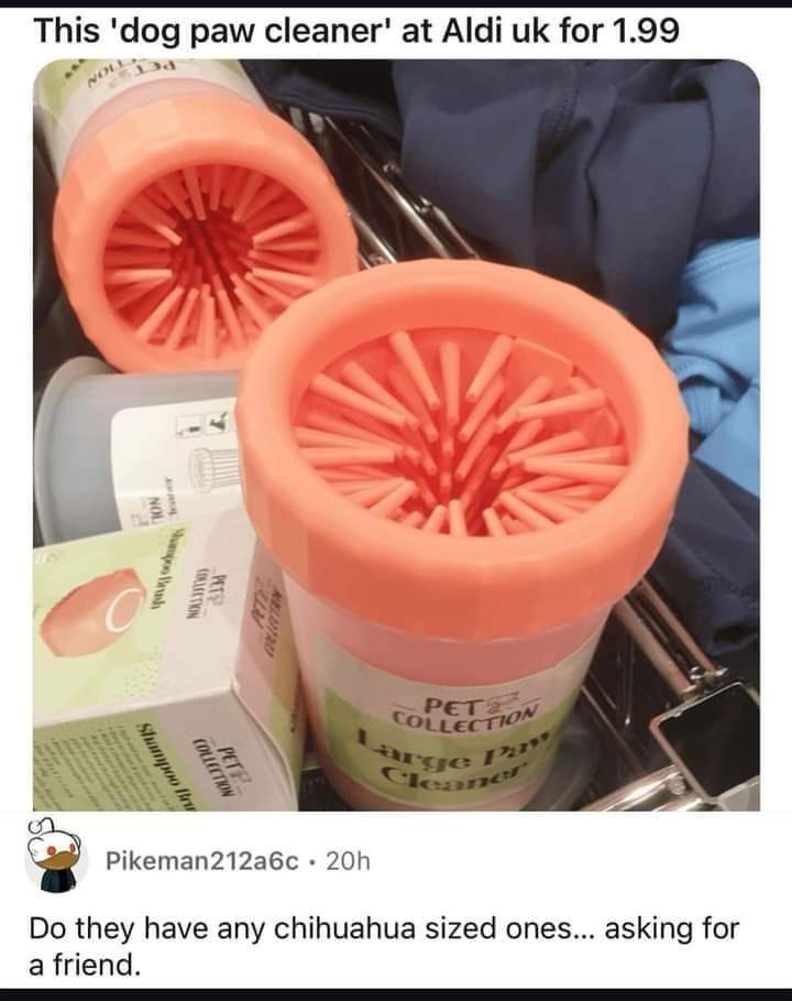 Is This the Ultimate Paw Cleaner?