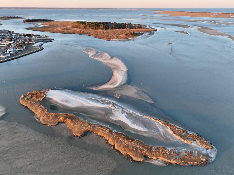 When the tide goes out and the beach reveals its secrets