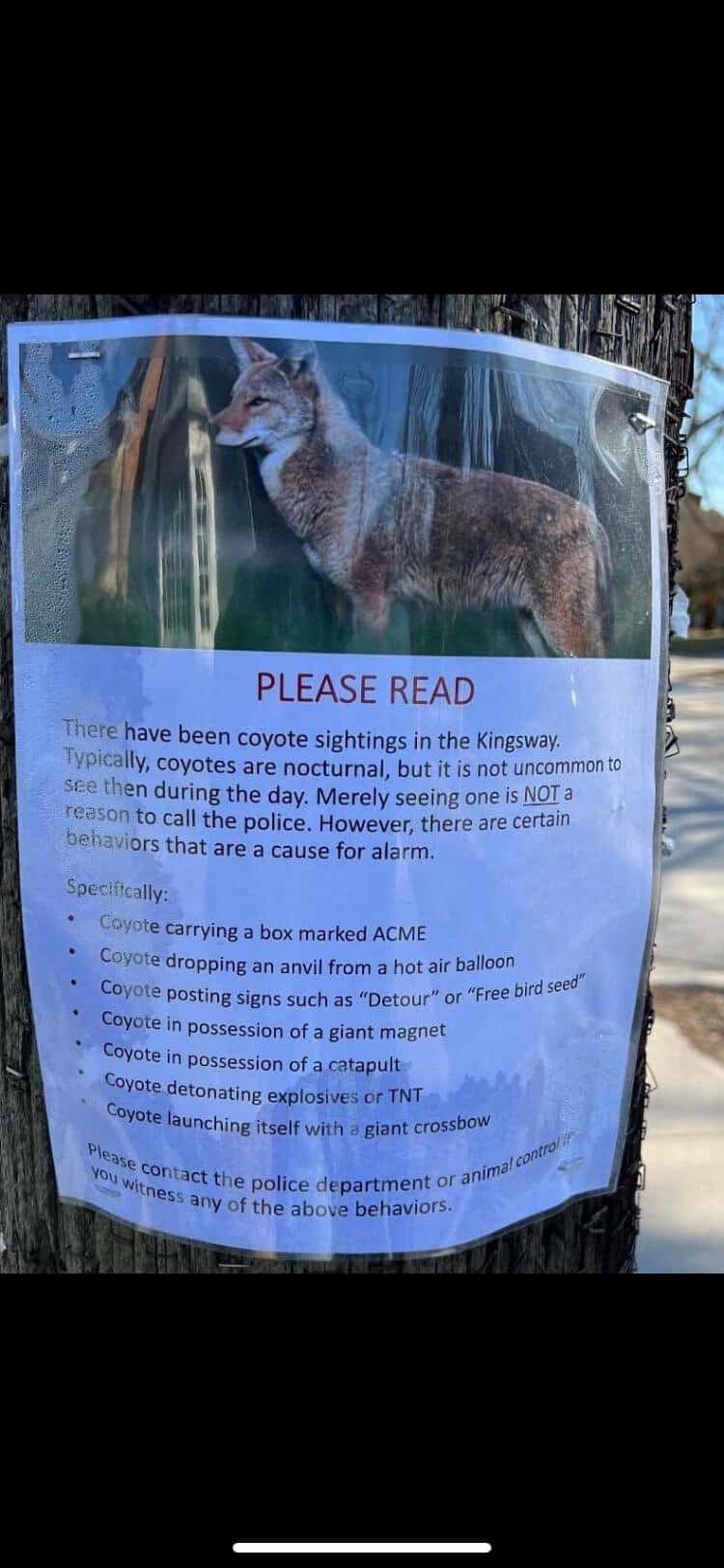 A Dump of Tree Tax Humor