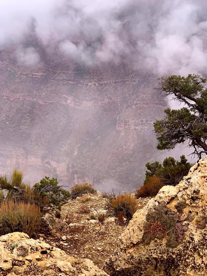 Grand Canyon Shrouded in Mysterious Fog