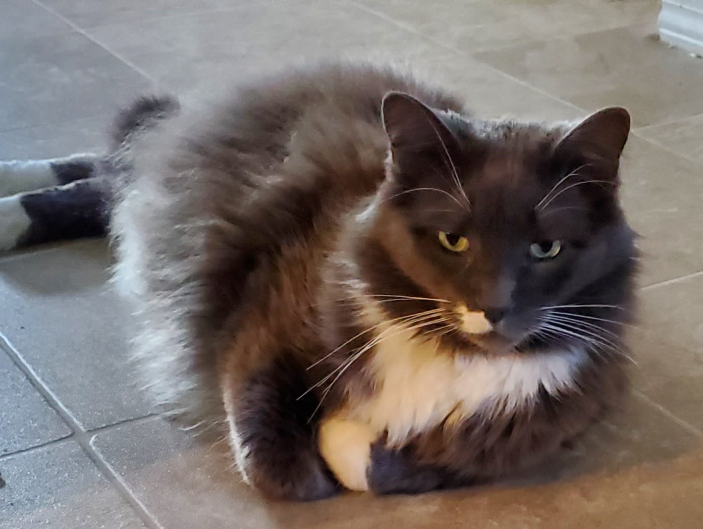 Binky needs your help!