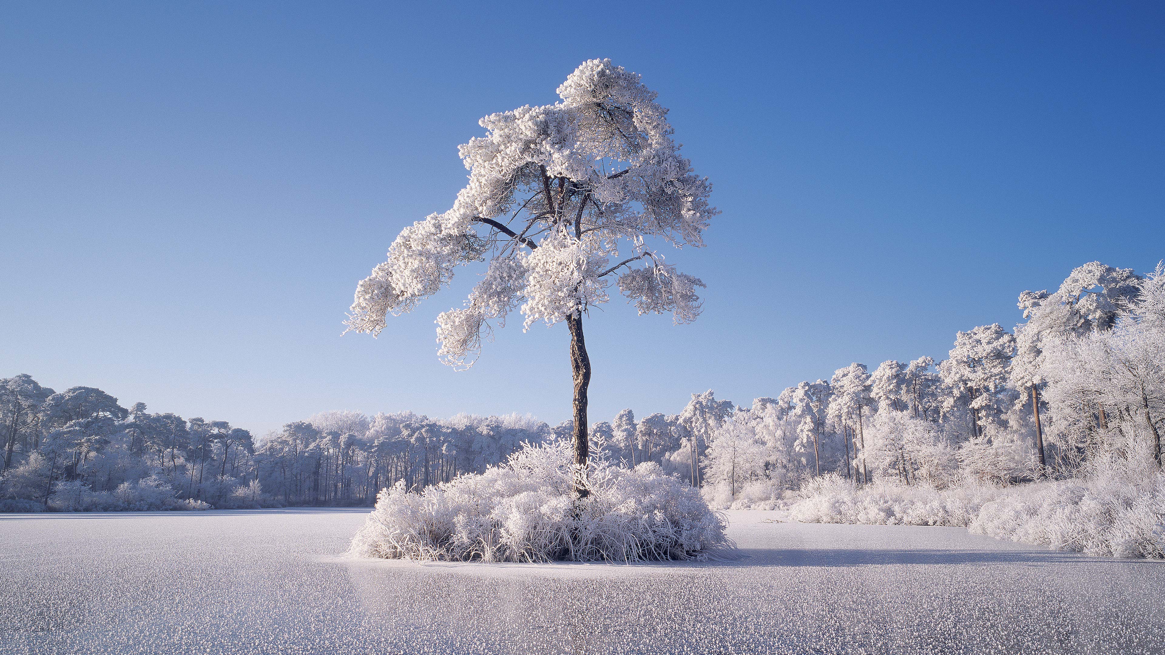 Lost in a Winter Wonderland: The Frosty Adventure