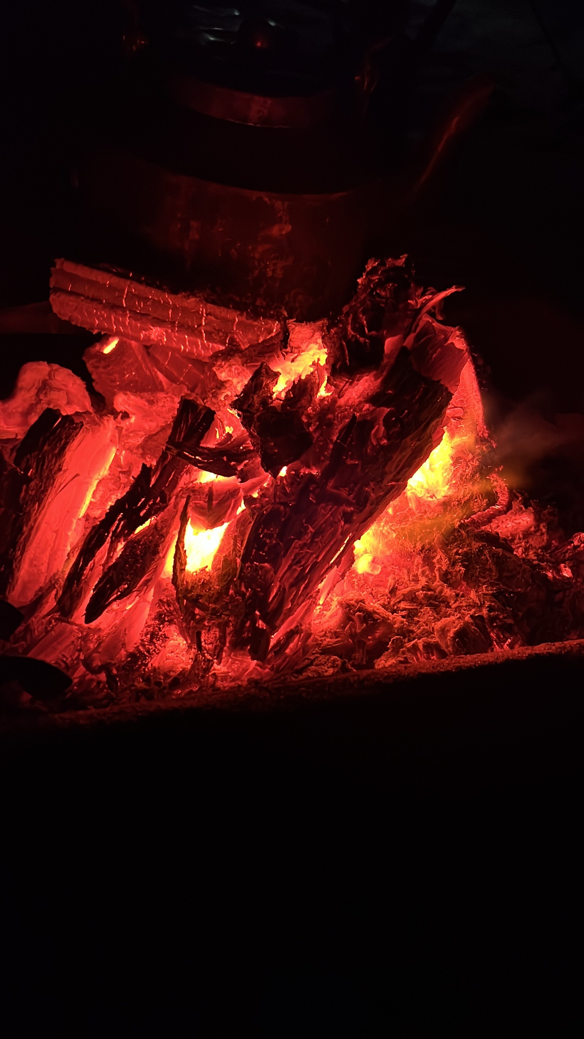 Evening Conversations by the Desert Fire: The Hidden Beauty of Nature