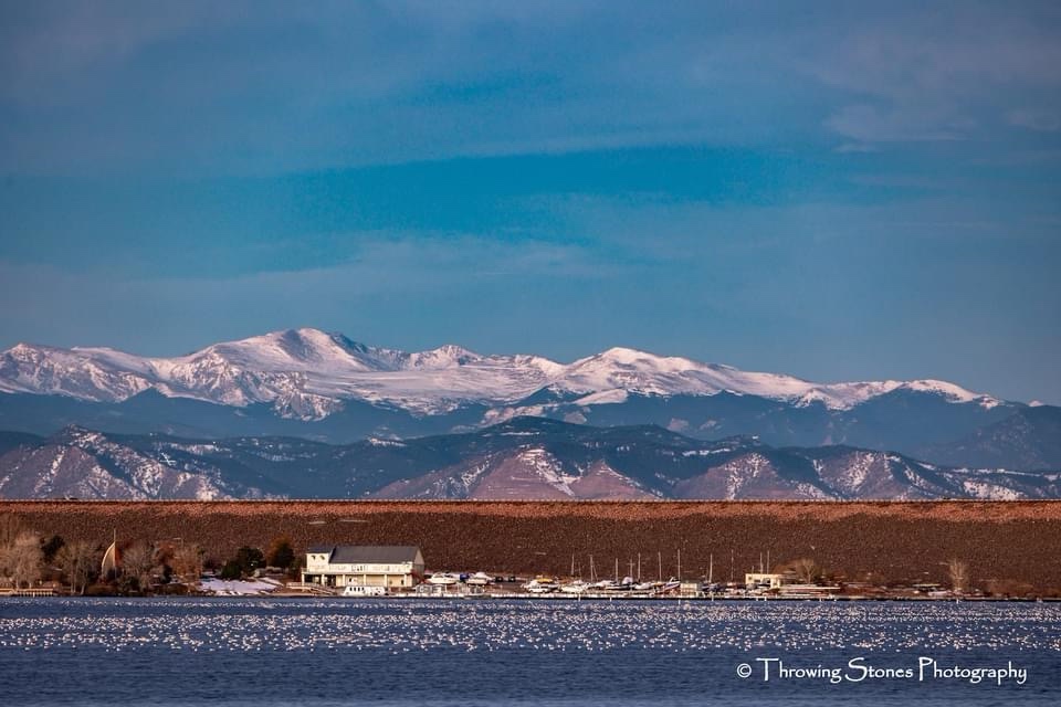 A Winter Wonderland: Everything is Snow-Covered