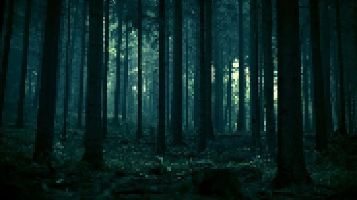 A Dark and Creepy Pixelated Forest Awaits