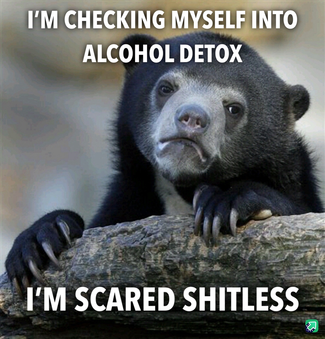 Feeling an overwhelming sense of fear right now.