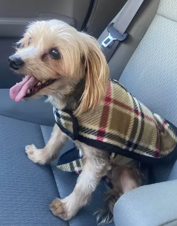 DAWG Adventures Await