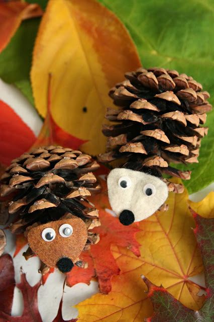Introducing the Pinehogs: A quirky new species!