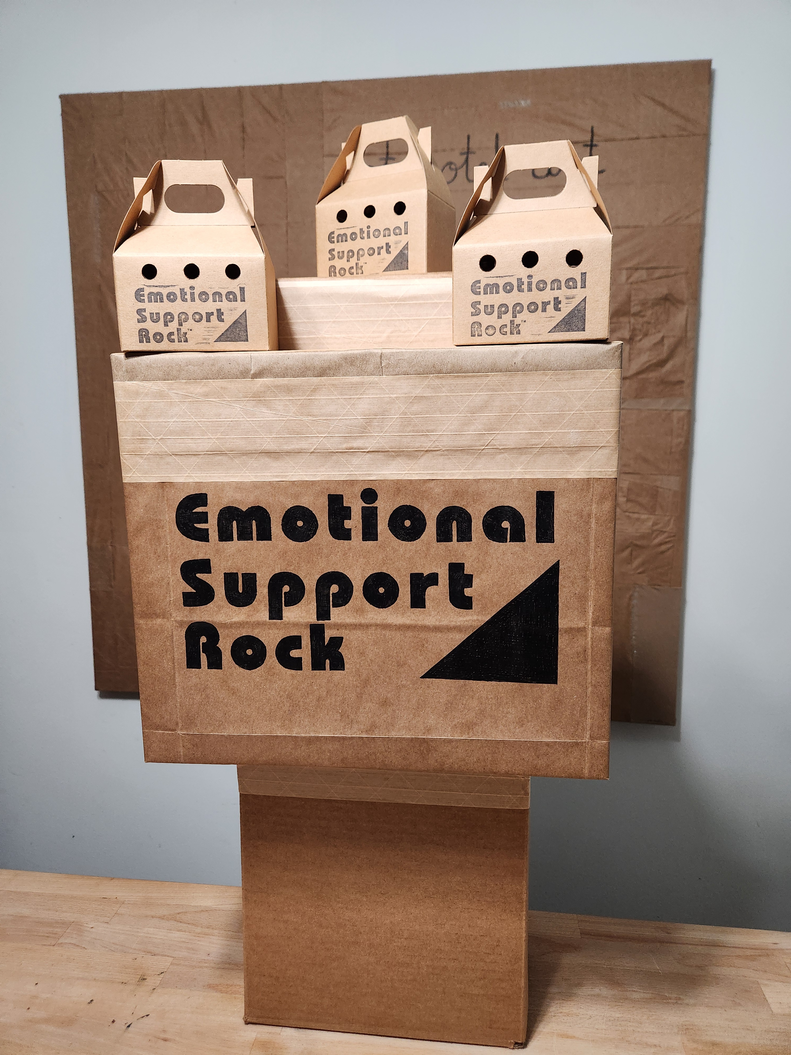 Meet Your New Best Friends: Emotional Support Rocks